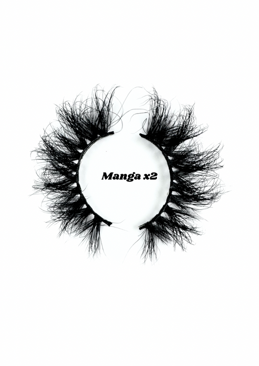 Manga x2